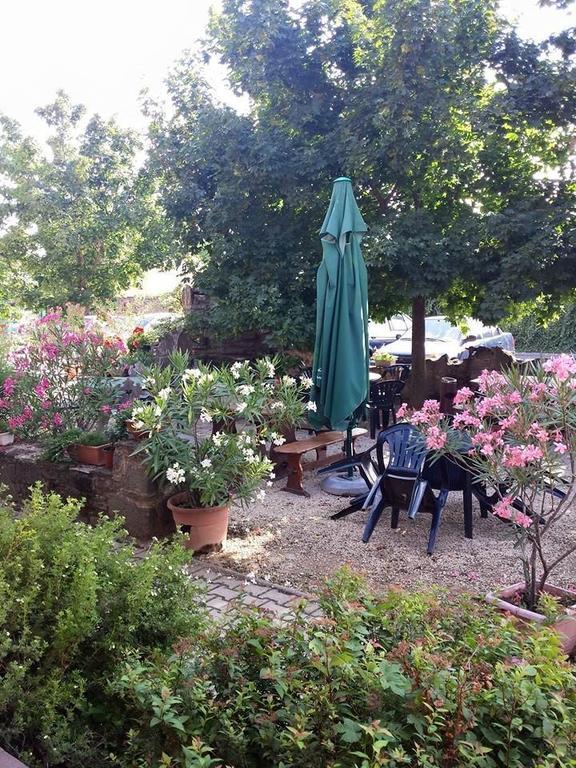Borostyankert Etterem & Vendeghaz Ξενοδοχείο Sitke Εξωτερικό φωτογραφία